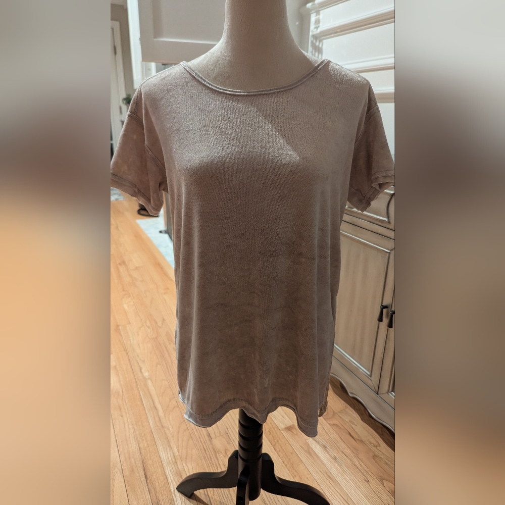 Women's Green Tea Beige Short Sleeve Velour Top
